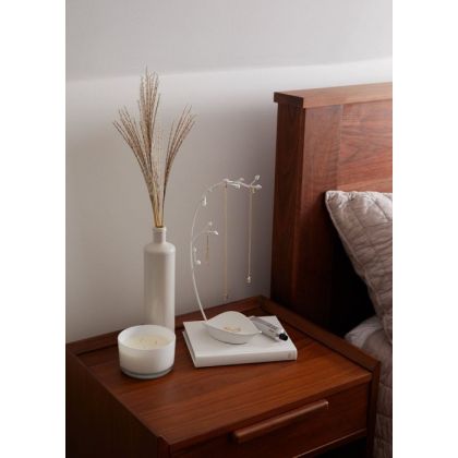 UMBRA ORCHID JWL STAND WHITE